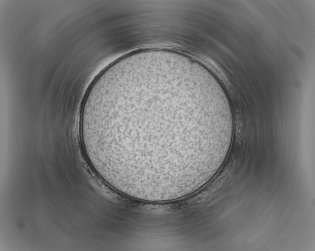 X0000112421044200909111006