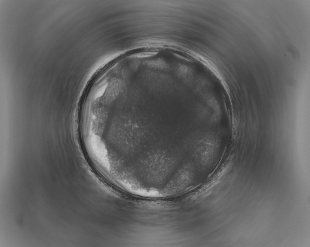 X0000112421045200909111006