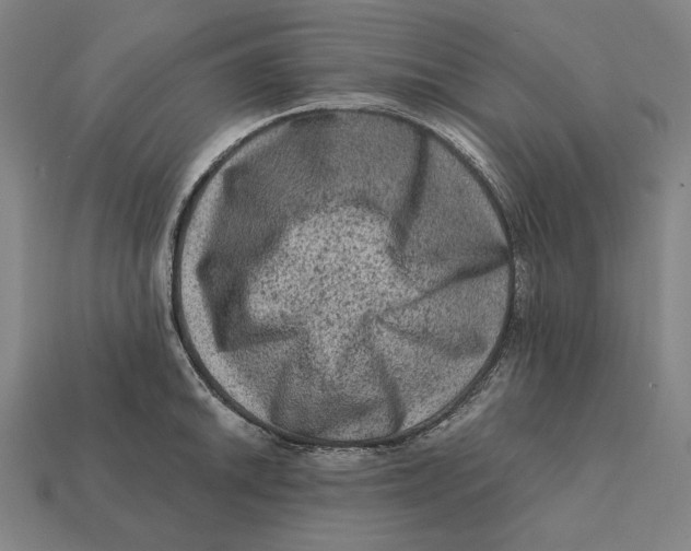 X0000112421046200909111006