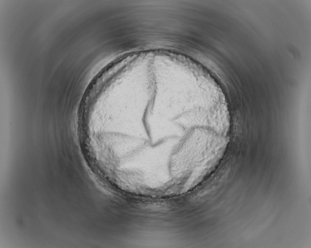 X0000112421047200909111006