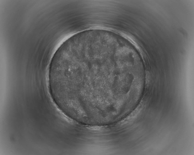 X0000112421048200909111006