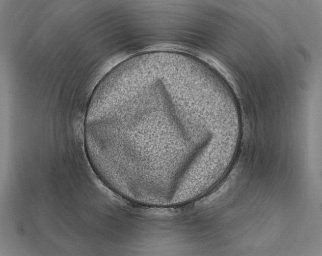 X0000112421049200909111006