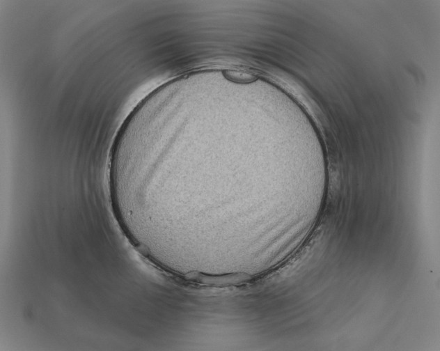 X0000112421050200909111006