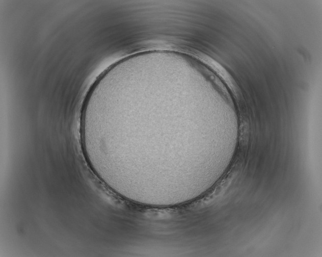 X0000112421051200909111006