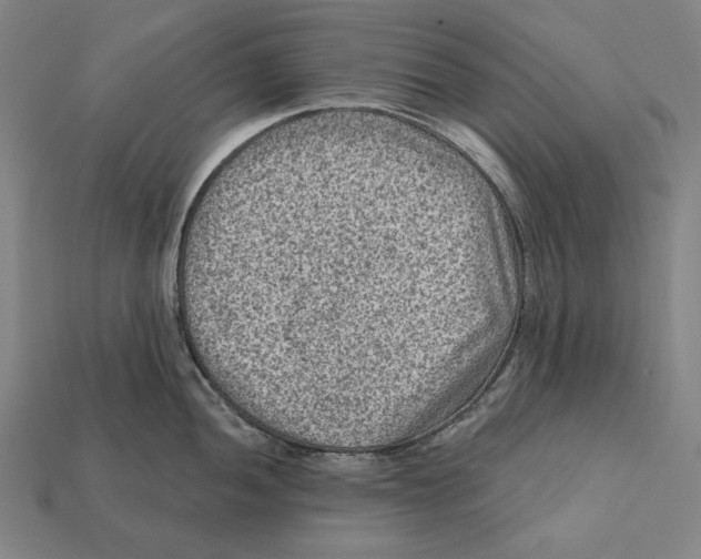 X0000112421052200909111006