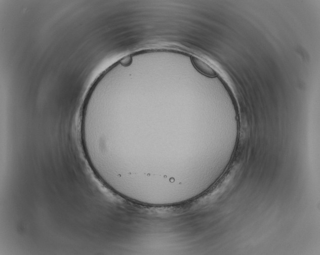 X0000112421053200909111006