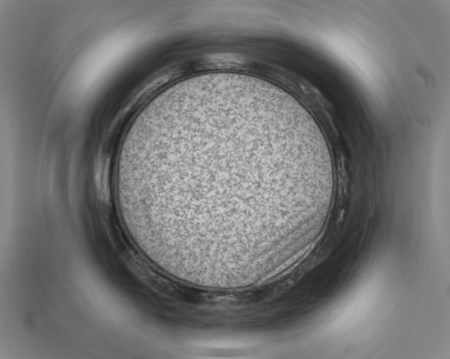 X0000112421054200909111006