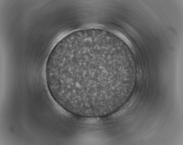 X0000112421055200909111006