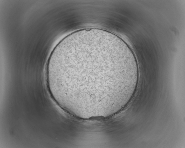 X0000112421056200909111006