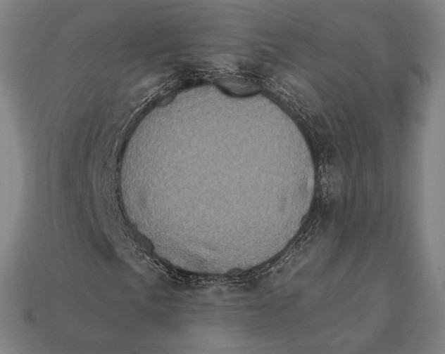 X0000112421057200909111006