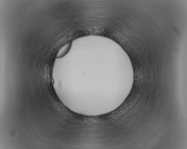 X0000112421058200909111005