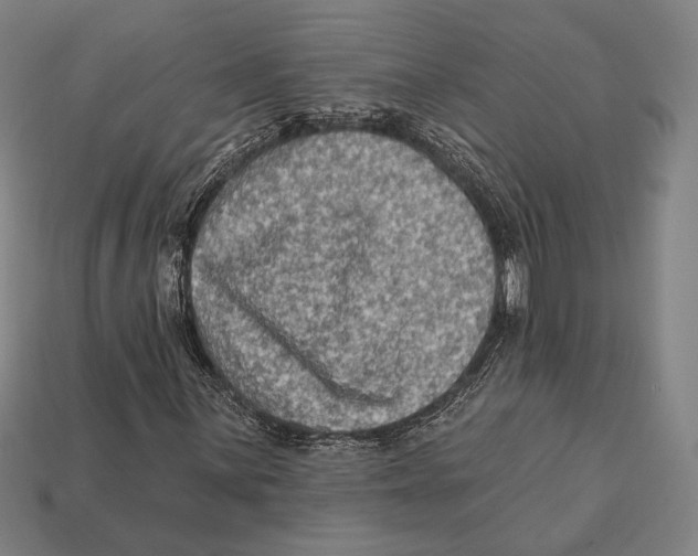 X0000112421059200909111005