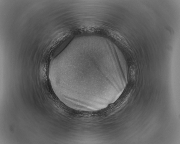 X0000112421060200909111005