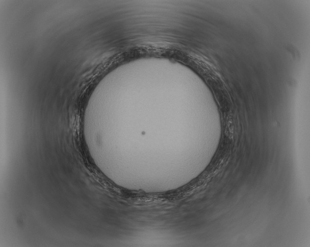 X0000112421061200909111005