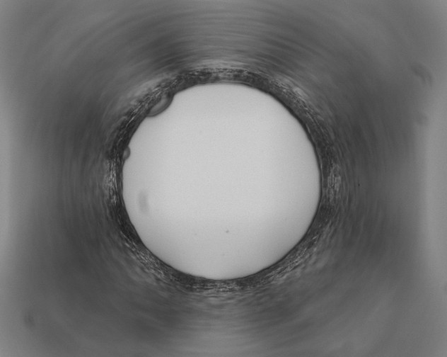 X0000112421062200909111005