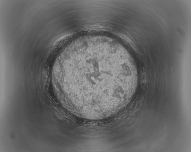 X0000112421063200909111005