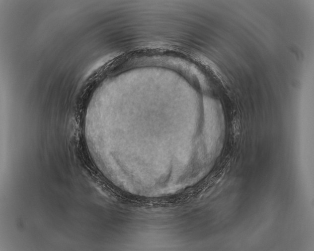 X0000112421064200909111005