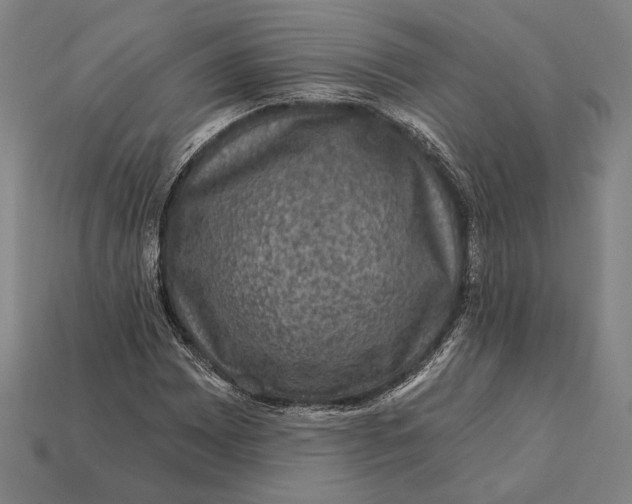 X0000112421065200909111005