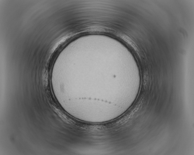 X0000112421067200909111005