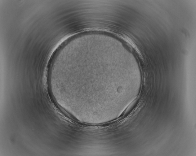 X0000112421068200909111005