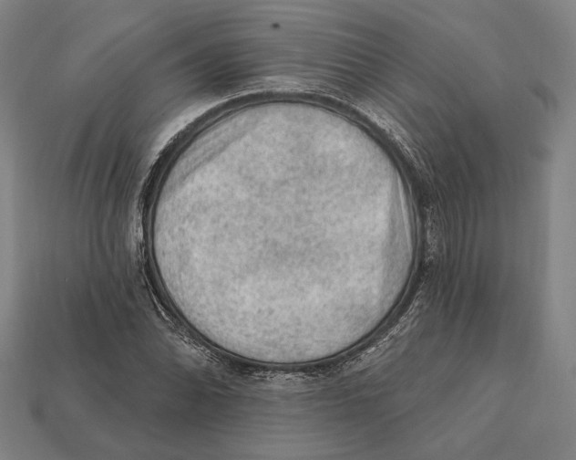 X0000112421070200909111005