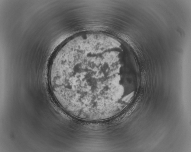 X0000112421071200909111005