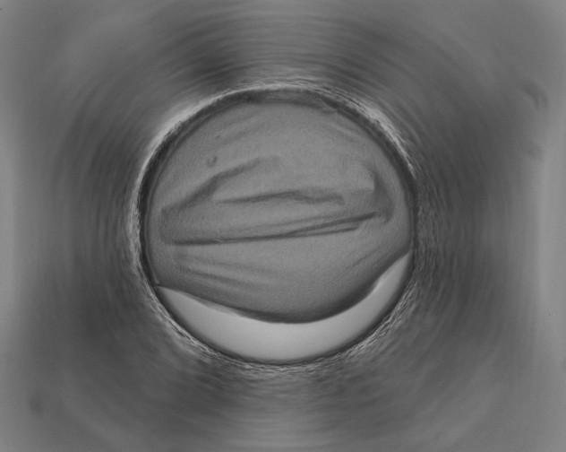 X0000112421072200909111005