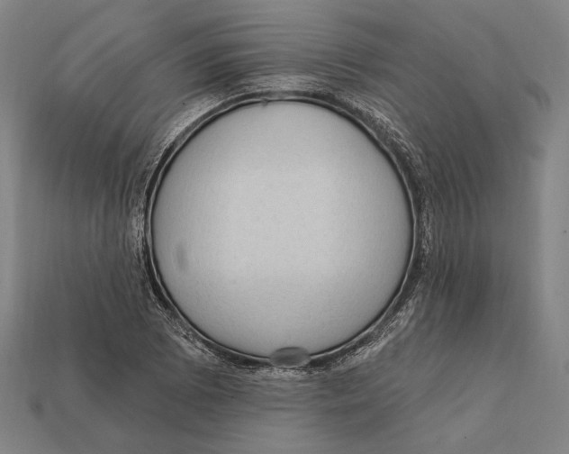 X0000112421073200909111005