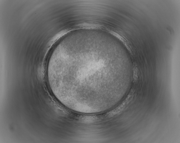 X0000112421074200909111005