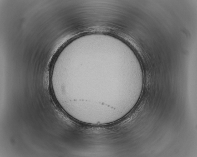 X0000112421075200909111005