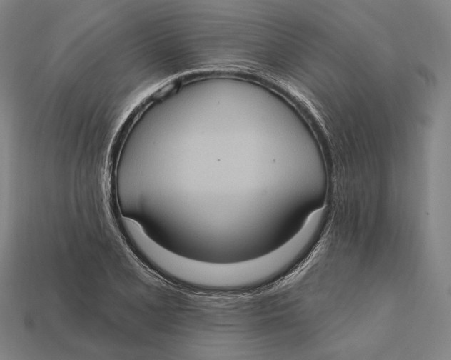 X0000112421077200909111005