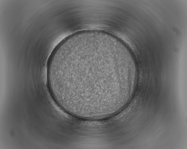 X0000112421079200909111005