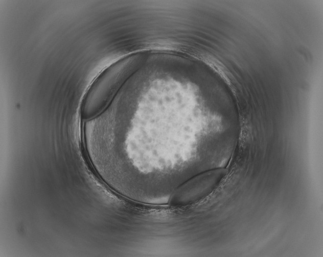 X0000112421080200909111005