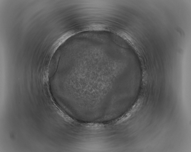 X0000112421081200909111005