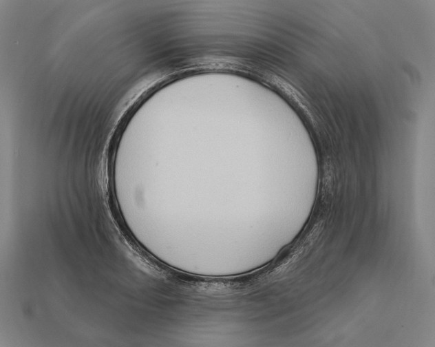 X0000112421082200909111005