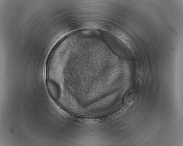 X0000112421084200909111005