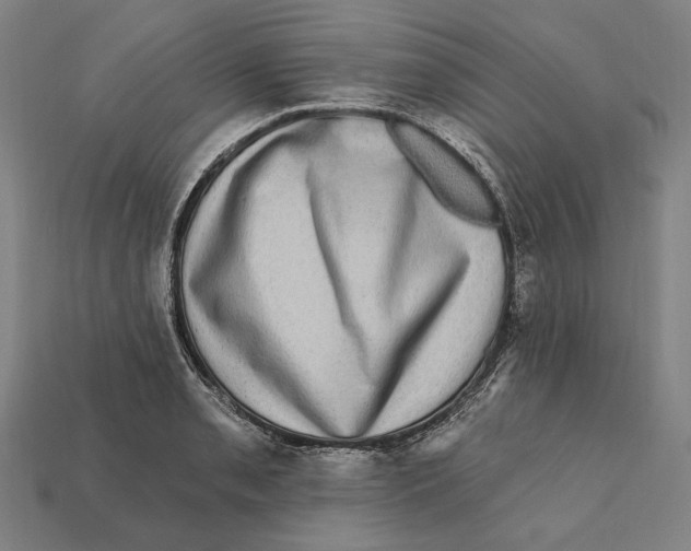 X0000112421085200909111005