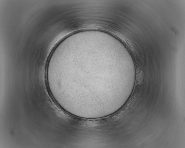 X0000112421086200909111005