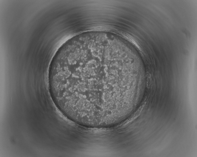 X0000112421087200909111005