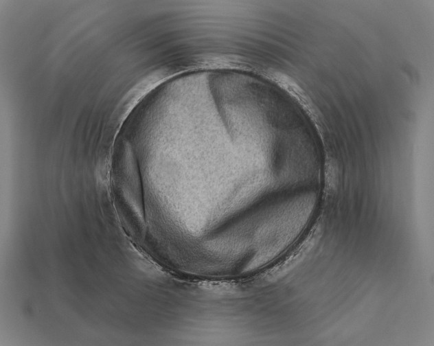 X0000112421089200909111005