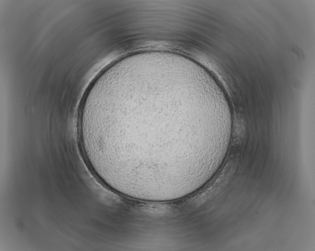 X0000112421090200909111005