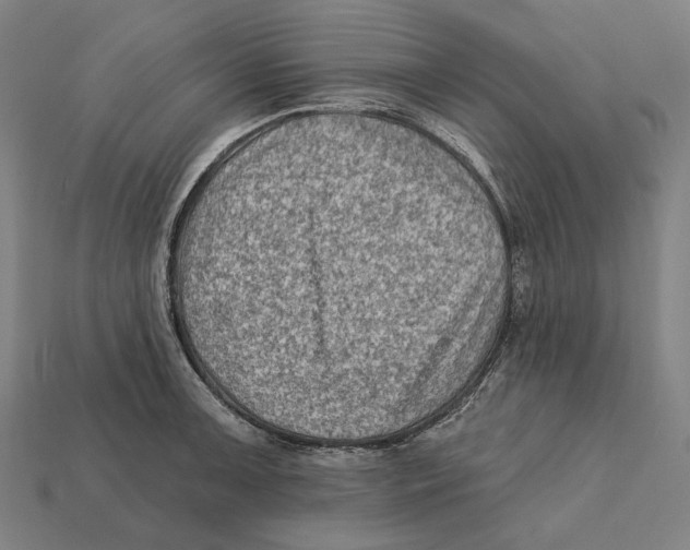 X0000112421091200909111005