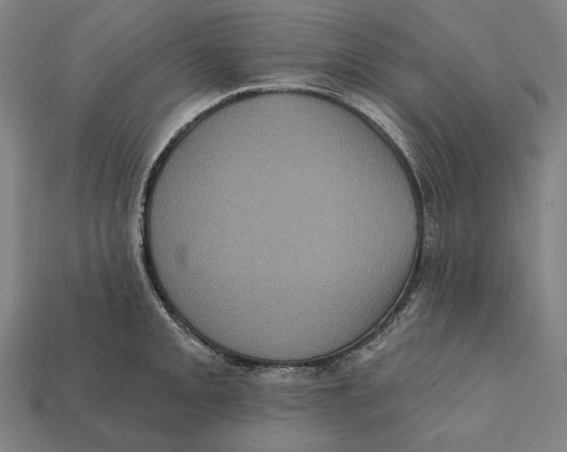 X0000112421093200909111005