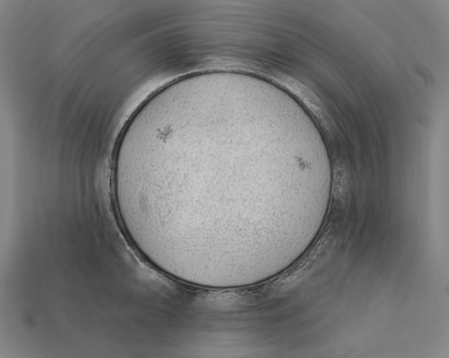 X0000112421094200909111005