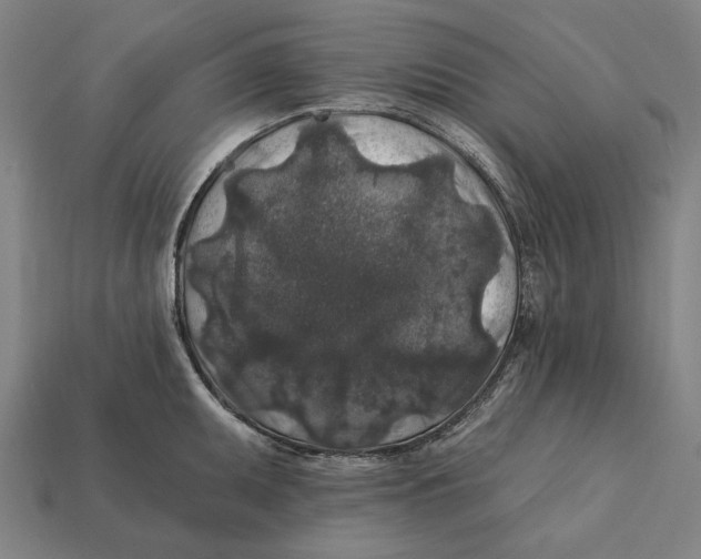 X0000112421095200909111005