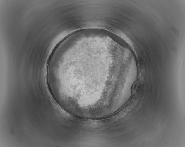 X0000112421096200909111005