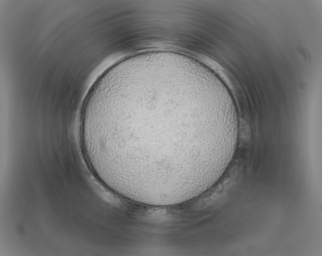 X0000112421098200909111005