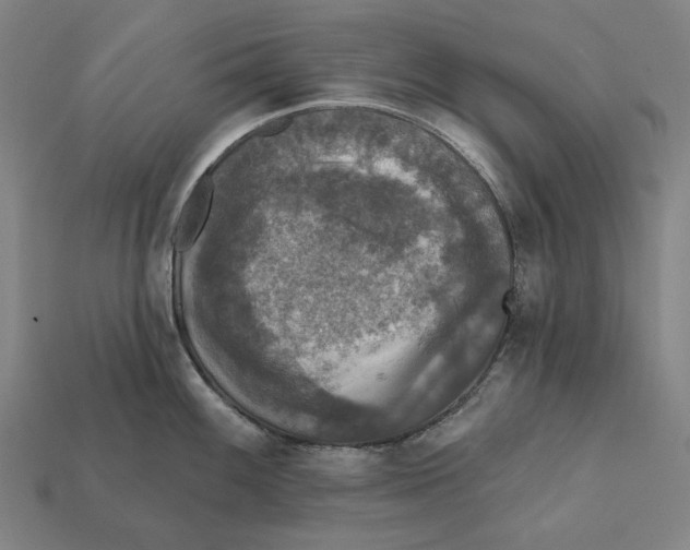 X0000112421100200909111005