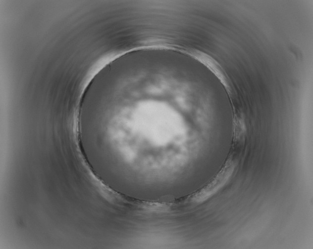 X0000112421101200909111005