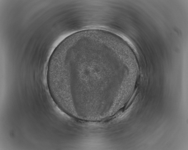 X0000112421102200909111005